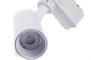 Reflektor LED lampa szynowa biała 10W 1 fazowa 4000K 1000lm kąt świecenia 30°